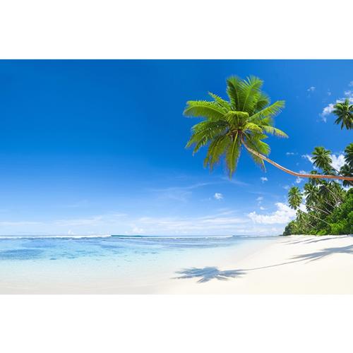 管家婆三期必中一期预测靠谱吗？揭秘滑动窗口建模+热图分析+人工经验库的真实准确率